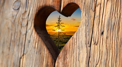holz-heart holz-heart
